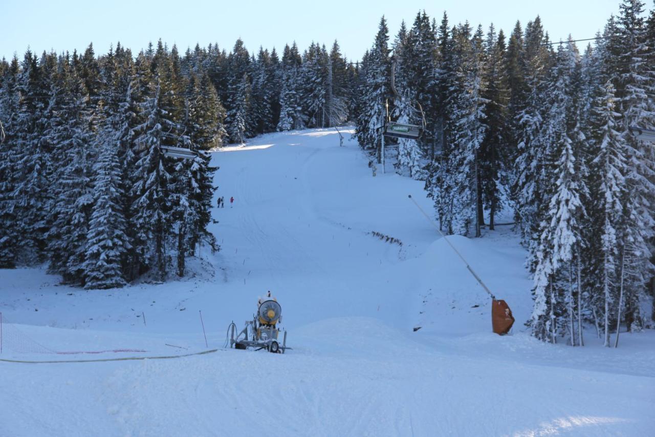 Kopaonik011 Konaci&Woodside Apartments Buitenkant foto